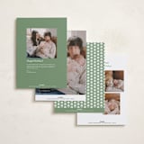 "Viola" - Holiday Birth Announcement Cards in Peppermint by Deynaaz Daraei - Back of Card Options