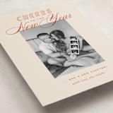 "Retro" - Holiday Birth Announcement Cards in Cherry by Oscar and Emma - Karly Depew - Detail