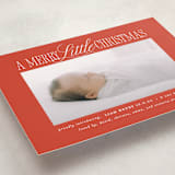 "Littlest Christmas" - Holiday Birth Announcement Cards in Poinsettia by Brooke Chandler - Detail