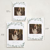 "Aurelia" - Holiday Birth Announcement Cards in Winter by Erin L. Wilson - Formats Available