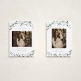 "Aurelia" - Holiday Birth Announcement Cards in Winter by Erin L. Wilson - Photo Orientation Options