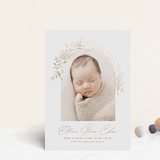 "Floral Arch" - Birth Announcements in Fawn by Susan Zinader - Front