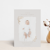 "Tiny Sprigs" - Birth Announcements in Latte by Kristie Kern - Front