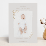 "Tiny Sprigs" - Birth Announcements in Latte by Kristie Kern - Front