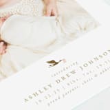 "new delivery" - Birth Announcements in Blush by Carolyn Nicks - Detail