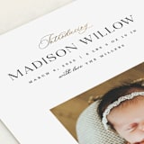 "Now Introducing" - Birth Announcements in Sugar by Pixel and Hank - Detail