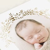 "Floral Arch" - Birth Announcements in Fawn by Susan Zinader - Detail