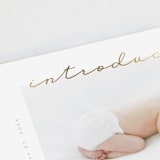 "Border script" - Birth Announcements in Powder by Creo Study - Detail