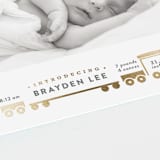 "welcome aboard!" - Birth Announcements in Chalk by Rebecca Durflinger - Detail