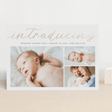 "Big Introductions" - Birth Announcements in Cotton by Carolyn MacLaren - Front