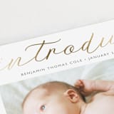 "Big Introductions" - Birth Announcements in Cotton by Carolyn MacLaren - Detail