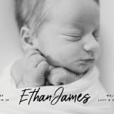 "Just The Facts" - Birth Announcements in Volcano by Owl and Toad - Detail