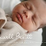 "Written Whimsy" - Birth Announcements in Snow by Lauren Chism - Detail