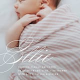 "Precious Script" - Birth Announcements in Sugar by Jessica Williams - Detail