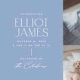 "Announcing Elegance" - Birth Announcements in Periwinkle by Jessica Corliss - Detail
