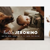 "meet me" - Birth Announcements in Cloud by Snow and Ivy - Front