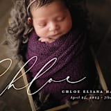 "Just Lovely" - Birth Announcements in Shell by Lea Delaveris - Detail