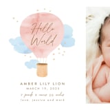 "Baby World" - Birth Announcements in Blush by Kanika Mathur - Detail