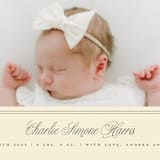"Classical Border" - Birth Announcements in Creme by mo kelley - Detail