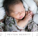 "Merritt" - Birth Announcements in Ink by Megan Davis - Detail