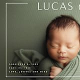 "Take Shape" - Birth Announcements in Snow by Lauren Chism - Detail