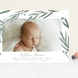 "Olive Branches" - Birth Announcements in Sage by Joanna Griffin - Front