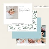 "Olive Branches" - Birth Announcements in Sage by Joanna Griffin - Back of Card Options