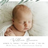 "Olive Branches" - Birth Announcements in Sage by Joanna Griffin - Detail