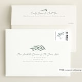 "Olive Branches" - Birth Announcements in Sage by Joanna Griffin - FREE Recipient Addressing