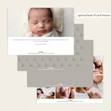"Classically Stated" - Birth Announcements in Sugar by Sara Hicks Malone - Back of Card Options
