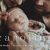 "Classically Stated" - Birth Announcements in Sugar by Sara Hicks Malone - Detail