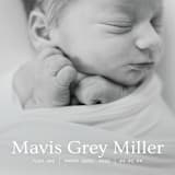 "simple in serif" - Birth Announcements in Snow by Bramble Studio - Detail