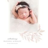 "Botanical Corners" - Birth Announcements in Blush by Hooray Creative - Detail