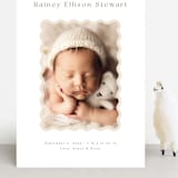 "applique" - Birth Announcements in Oatmeal by Jennifer Wick - Front