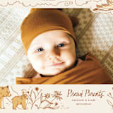 "Baby Bear" - Birth Announcements in Cream by Morgan Ramberg - Detail