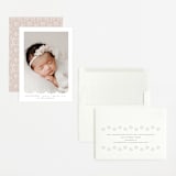 "Eyelet" - Birth Announcements in Taupe by Lauren Chism - Assembled