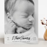 "Just The Facts" - Birth Announcements in Volcano by Owl and Toad - Front