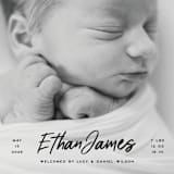 "Just The Facts" - Birth Announcements in Volcano by Owl and Toad - Detail