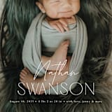 "Focus" - Birth Announcements in Snow by Yaling Hou Suzuki - Detail