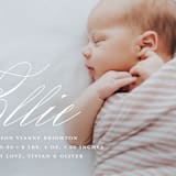 "Precious Script" - Birth Announcements in Sugar by Jessica Williams - Detail