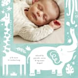 "All God's Creatures" - Birth Announcements in Narwhal by Carrie ONeal - Detail
