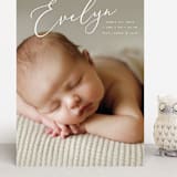 "Signature" - Birth Announcements in Sage by Ashley Rosenbaum - Front