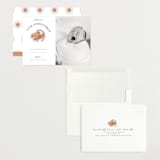 "Disney The Little Lion King" - Birth Announcements in Desert by Maja Cunningham - Assembled