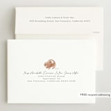 "Disney The Little Lion King" - Birth Announcements in Desert by Maja Cunningham - FREE Recipient Addressing