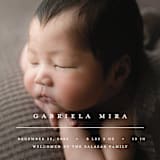 "Primary" - Birth Announcements in Vanilla by Pixel and Hank - Detail