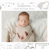 "Special Delivery" - Birth Announcements in Slate by Morgan Ramberg - Detail