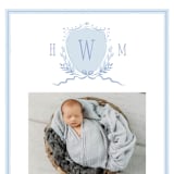 "Crest" - Birth Announcements in Sky by Corinne Malesic - Detail