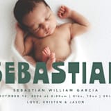 "Boldly Named" - Birth Announcements in Forest by Anna Elder - Detail