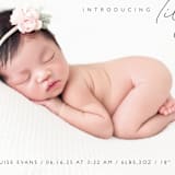 "Nickname Intro" - Birth Announcements in Raven by Olivia Raufman - Detail