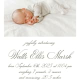 "Walden" - Birth Announcements in Fern by Megan Davis - Detail